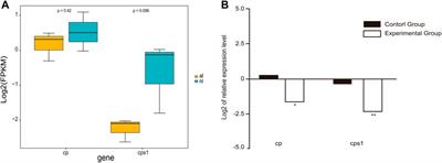 Aestivation induces widespread transcriptional changes in the African lungfish